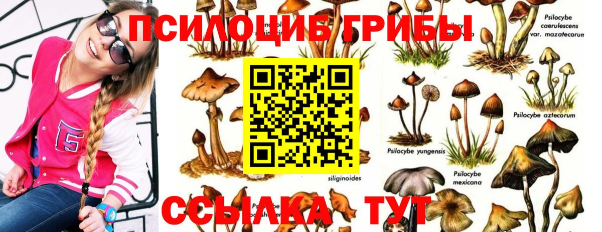 Псилоцибиновые грибы ЛСД Малгобек