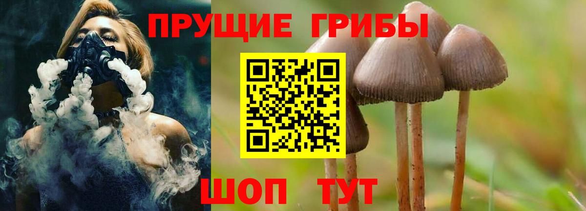 Галлюциногенные грибы Cubensis  Вход с VPN  Псилоцибиновые грибы мицелий  Малгобек 